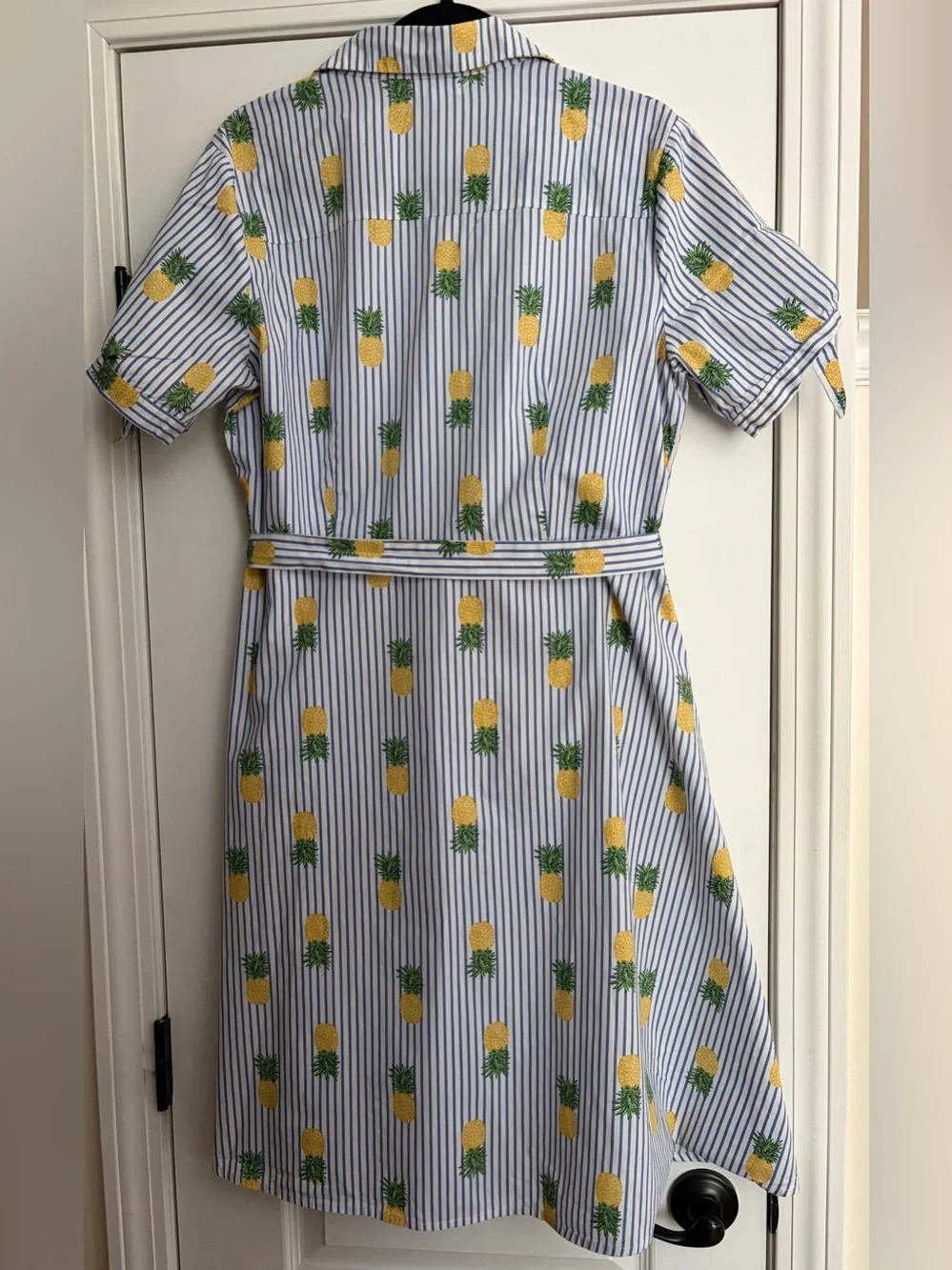 Striped Cotton Pineapple Button Up Shirt Dress Retro Summer Preppy Kitchy Sz L - Picture 2 of 6